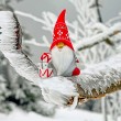 Noël 