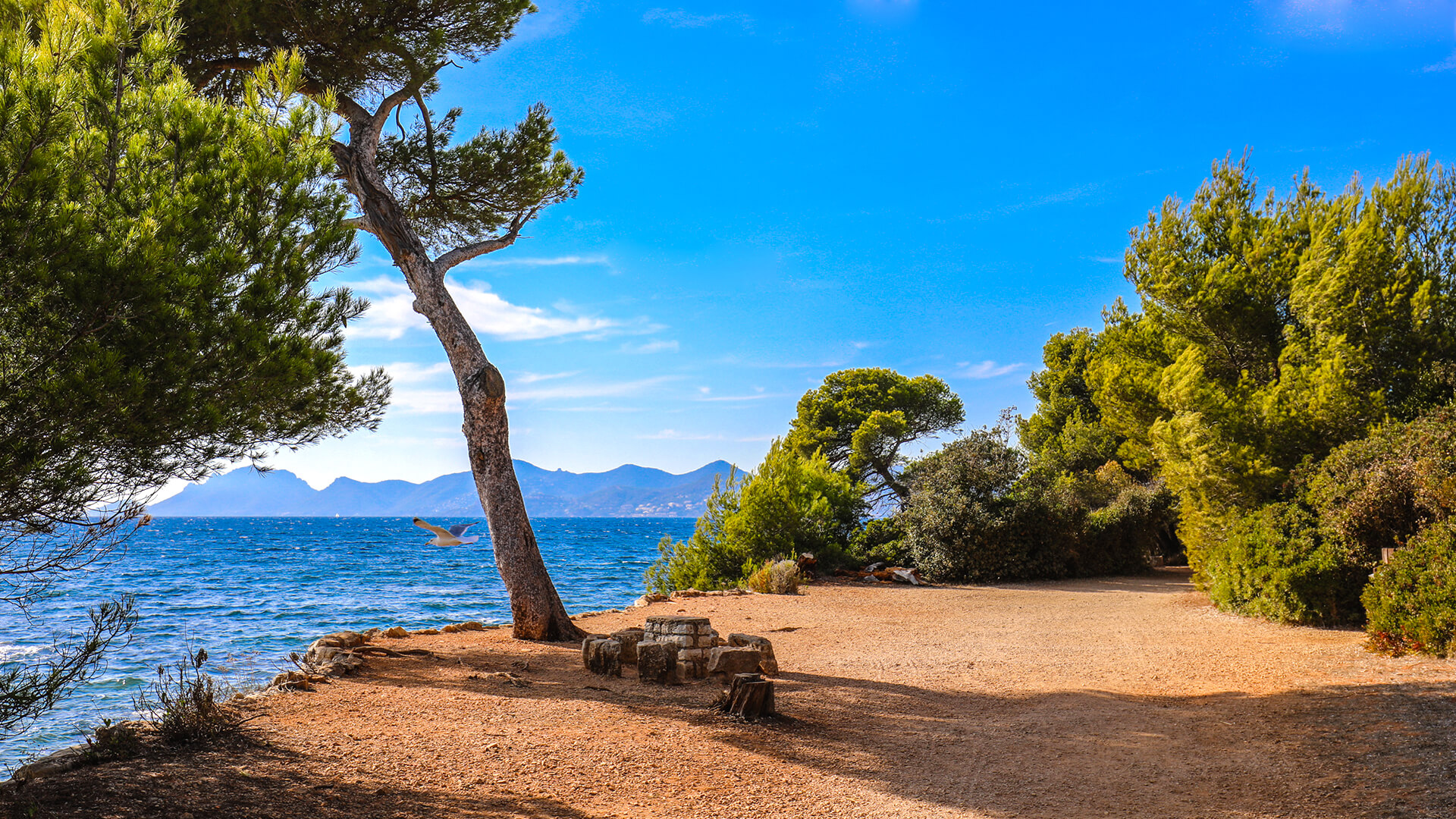 Une photo de l'Île Sainte-Marguerite