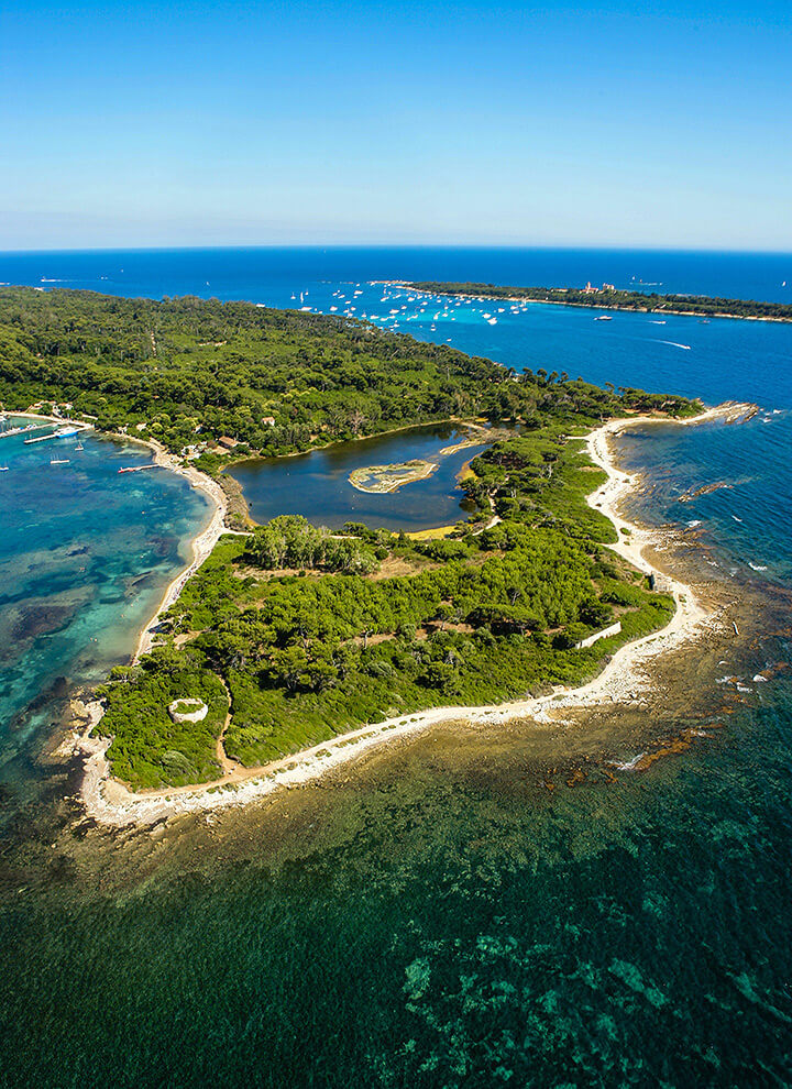 Île SainteMarguerite