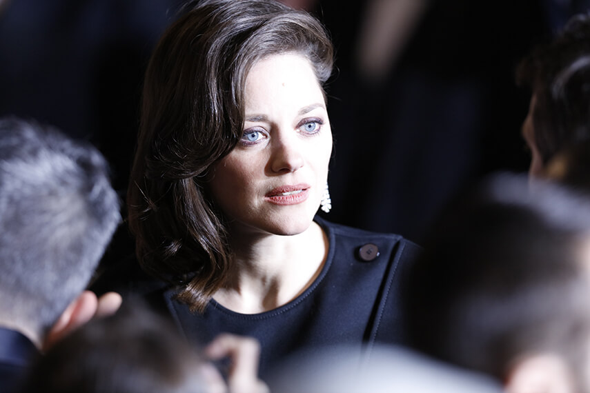 Marion Cotillard