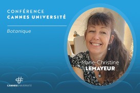 Image générique Cannes Université - 