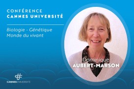Image générique Cannes Université - 