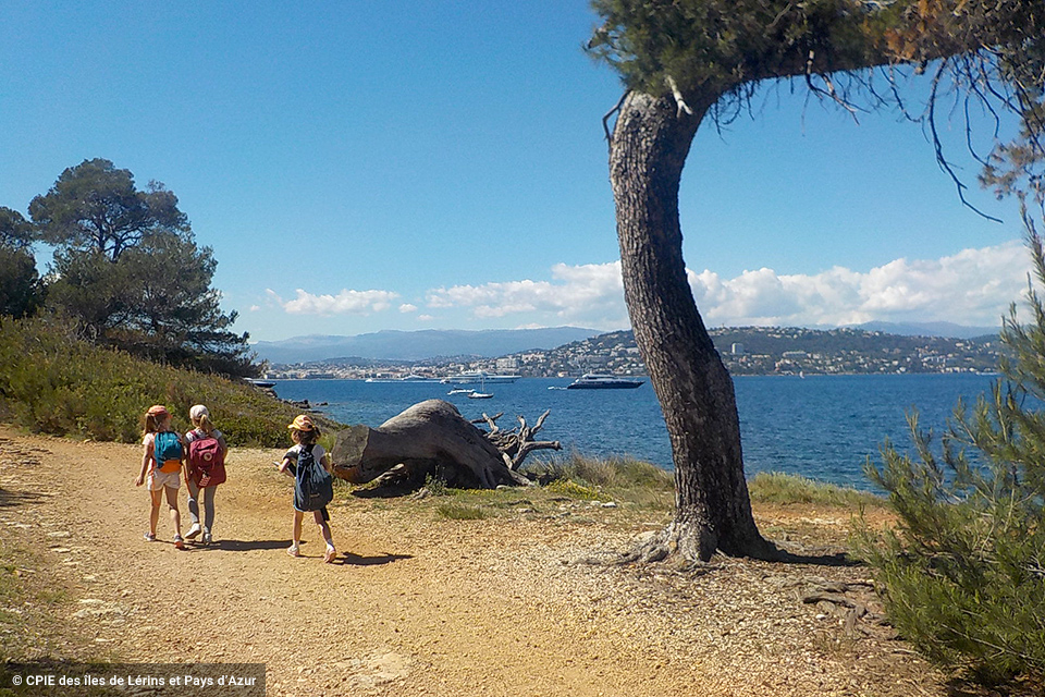 Image de l'île Sainte-Marguerite avec des enfants