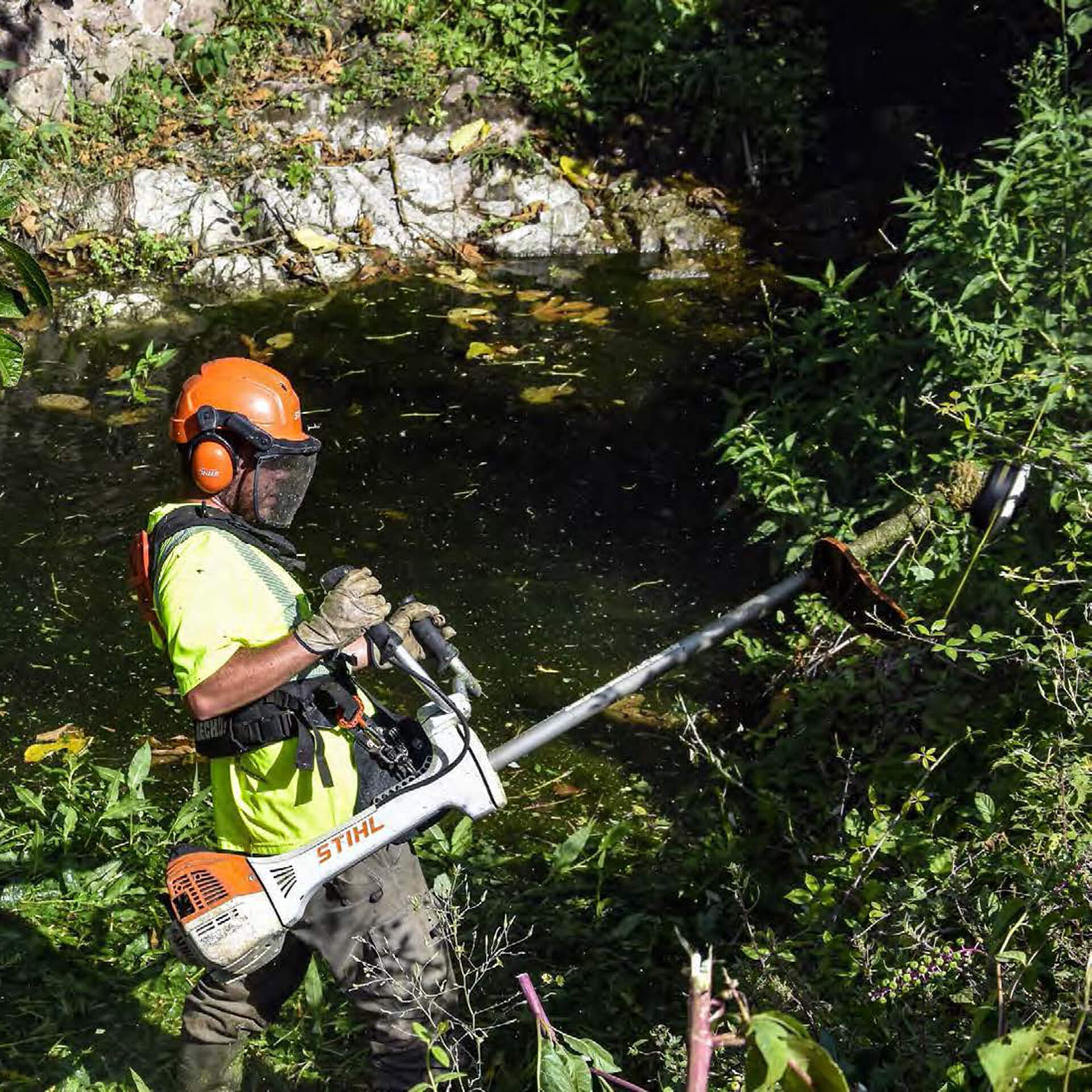 Débroussaillage des vallons