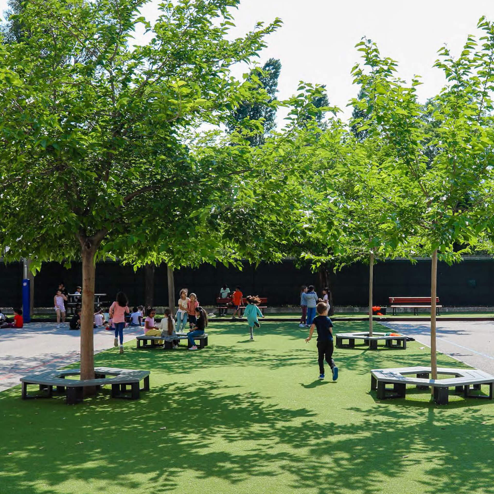 Plan Fraîcheur à l’école Saint-Exupéry