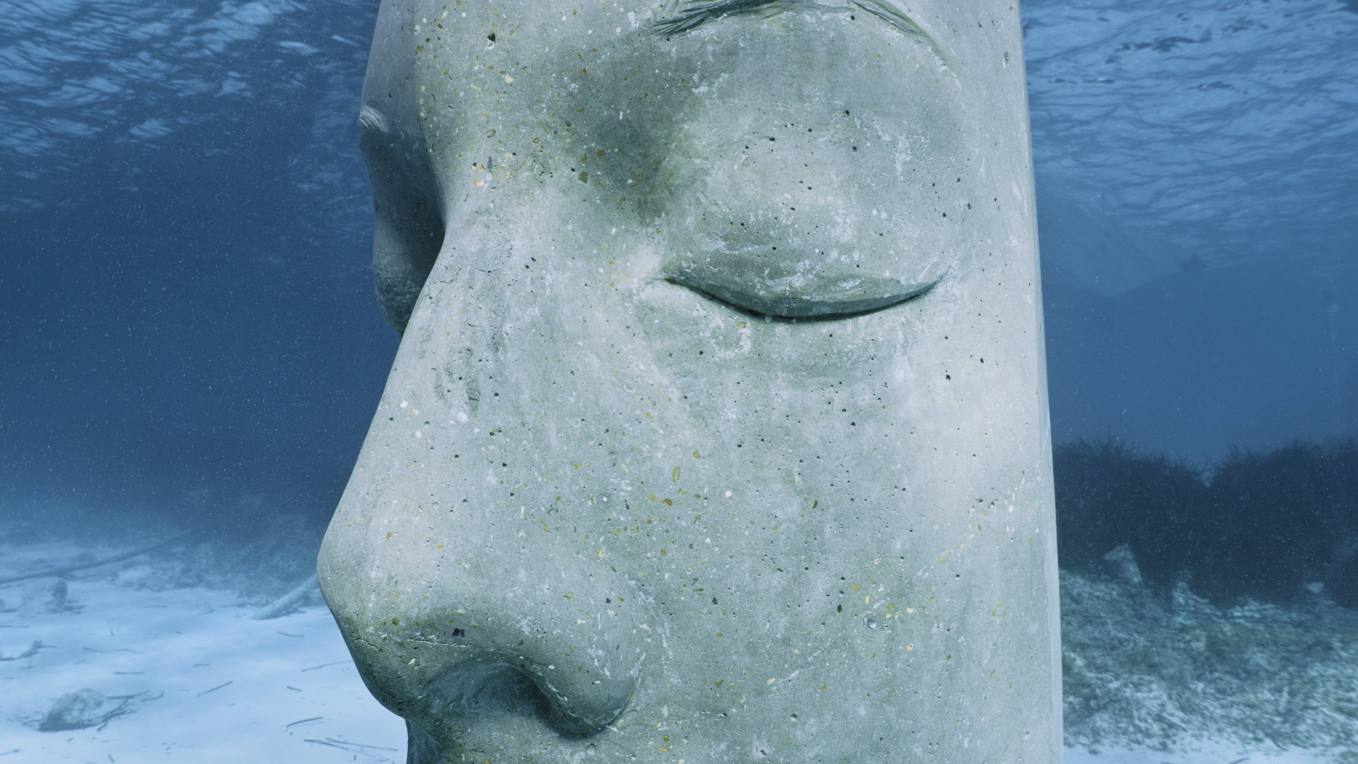 Écomusée sous-marin - Cannes