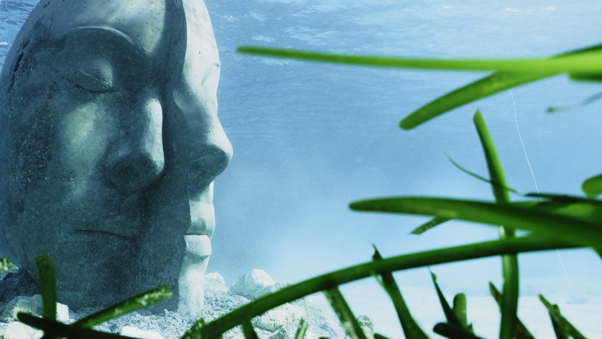 &Eacute;comus&eacute;e sous-marin - Cannes