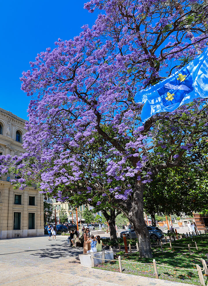 coasters for plants Embroidered Coaster Leaf  Monstera Leaf  Plant Coaster  cute  KVmade
