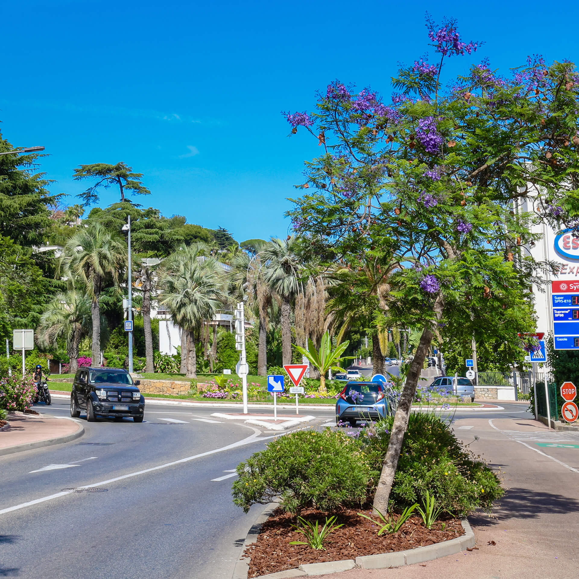 Avenue du Maréchal Juin