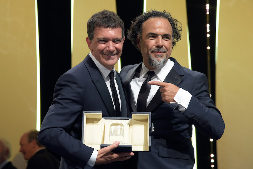 Prix d'interprétation masculine to Antonio Banderas in "Douleur et gloire"