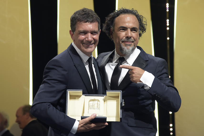 Prix d'interprétation masculine pour Antonio Banderas dans "Douleur et gloire"