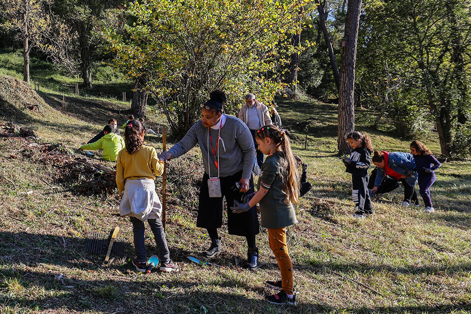 Semaine de l’Arbre 2023