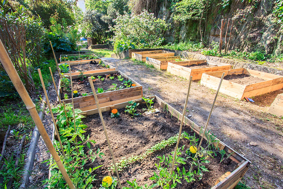 parcelles de jardins familiaux