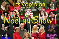 visuel noel au show