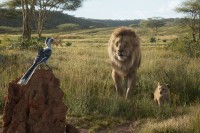 Visuel du film "Le Roi Lion"