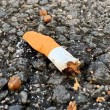 Mégot de cigarette