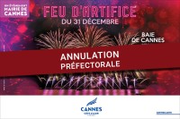 Visuel du feu d'artifice