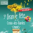 visuel de l'affiche avec mimosas