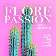 Cactus sur fond rose