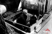 Visuel du film "Nosferatu"