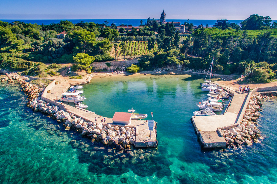 M・モーフラ、LES PINS DE L'ILE ST. HONORAT M・モーフラ、LES PINS DE L'ILE ST. HONORAT（Discovering the